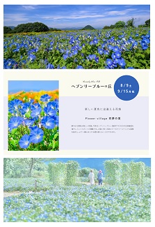 8月9日～9月15日