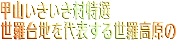 �b�R�������������I